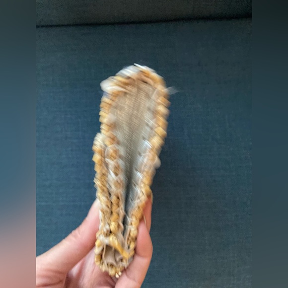 Cute Straw Raffia Clutch Handbag Mettalic Silver Floral Embellishment - Picture 6 of 10